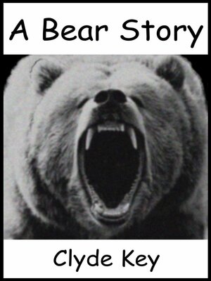 cover image of A Bear Story
